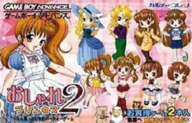 Oshare Princess 2 And Doubutsu Kyaranabi Rom